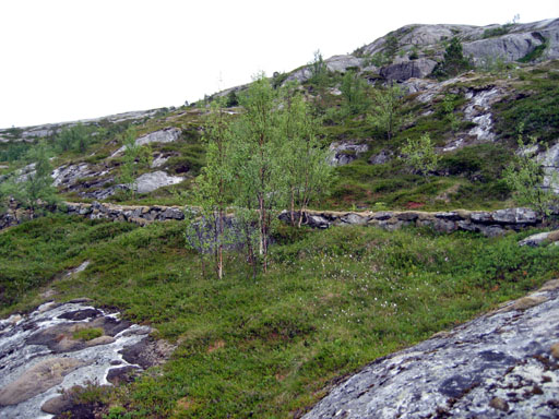 Tårnvika-06
