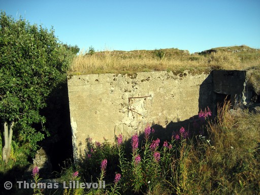 Kjeøya-09