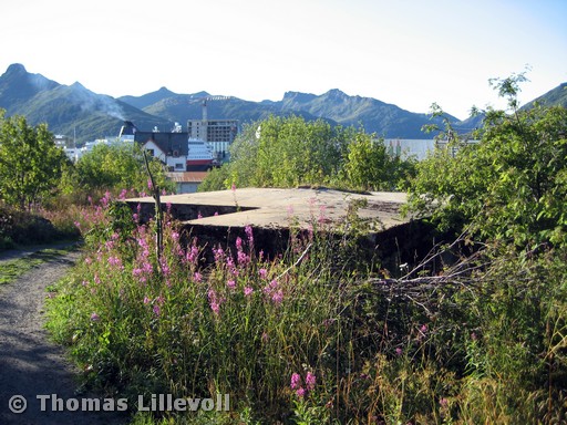 Kjeøya-11
