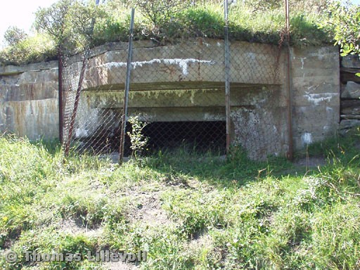 Bremnes-04