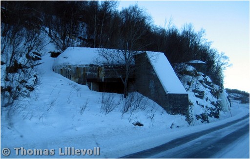 Vinterbilder 2009-03