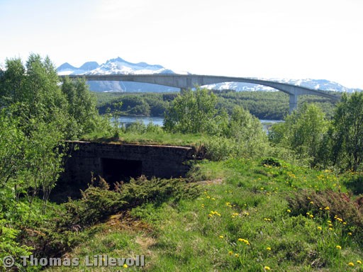 Saltstraumen-04