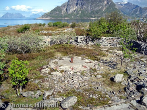 Støtt-11