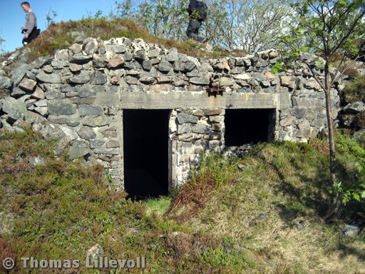 Støtt-19