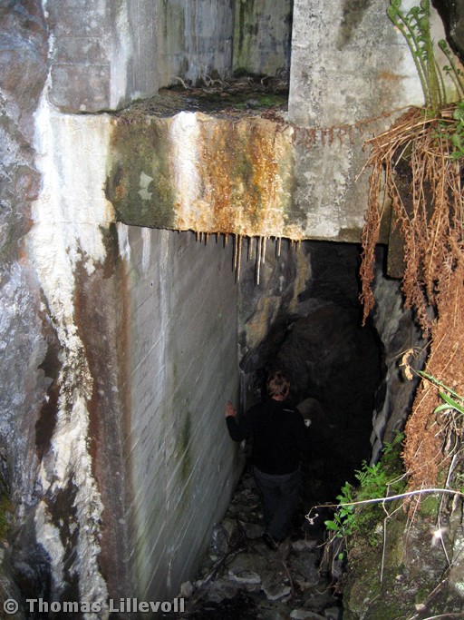 Støtt-20