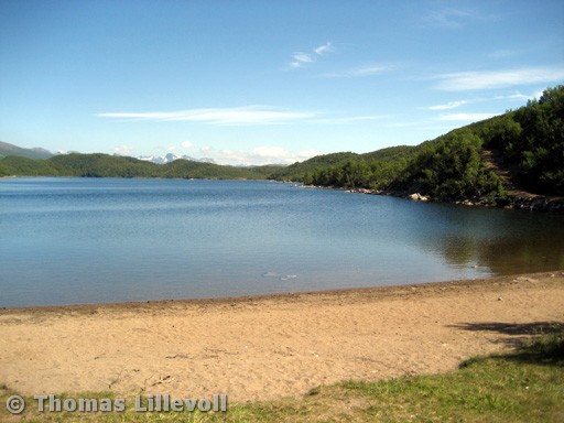 V�g�yvannet-01