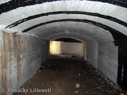Dønna-06