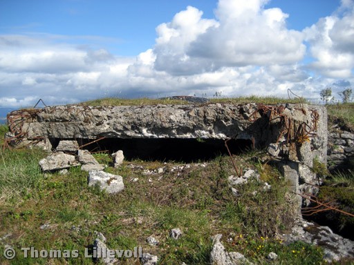 Dønna-08