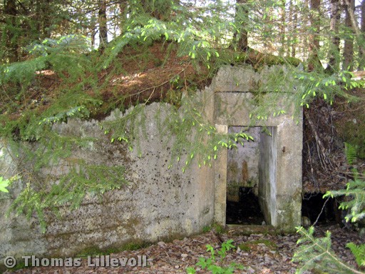 Purkneset-03