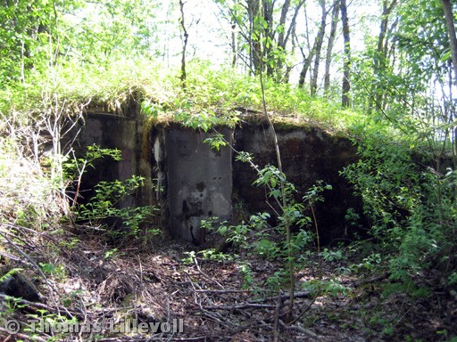 Purkneset-04