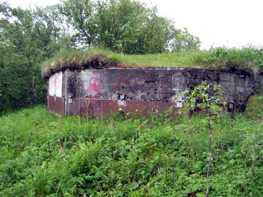 Sandnessjøen-05