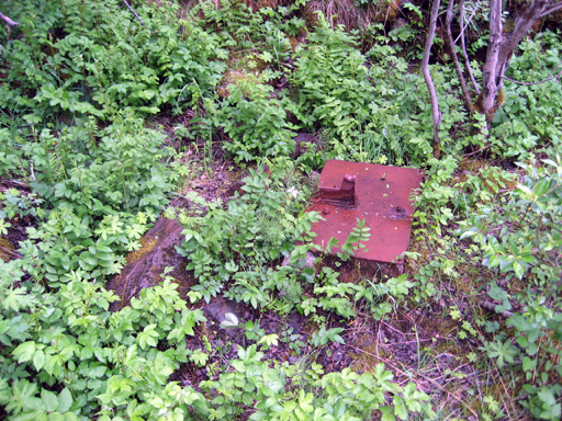 Sandnessjøen-07