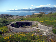 Tjeldøy