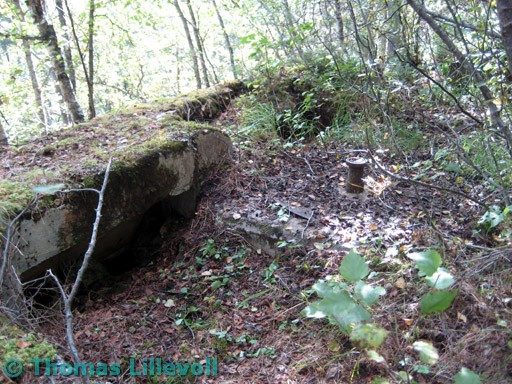 Rognan-08